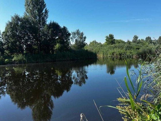 Ділянка у с. Ходосівка 8 соток поруч з озерами Ходосівка