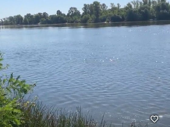 Ділянка 15 соток з виходом до Дніпра . вул. Центральна Гнедин