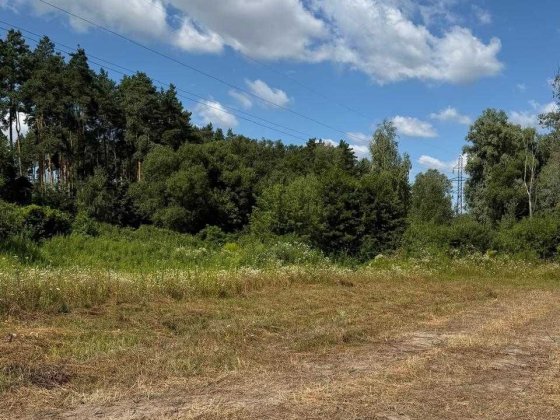 Ділянка 11 соток з видом на сосновий ліс у с.Ходосівка Ходосівка