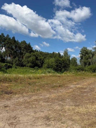 Ділянка 11 соток з видом на сосновий ліс у с.Ходосівка - фото 1