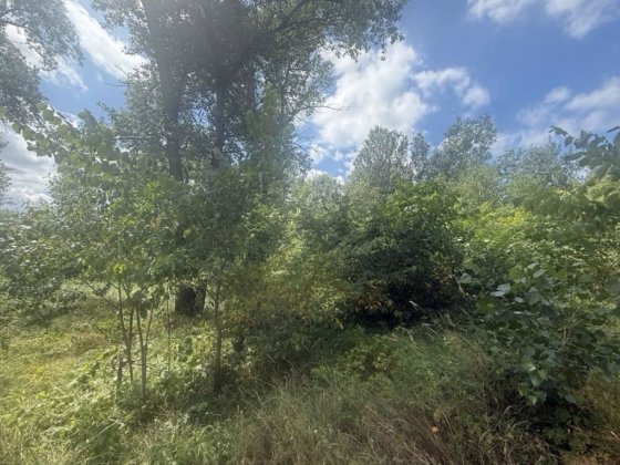 вул. Прирічна, 11 км від проспекту Бажана. Продаж ділянки! Гнідин