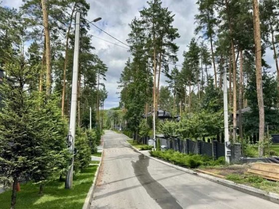 Ділянка під забудову в сосновому лісі – Ходосівка Ходосівка