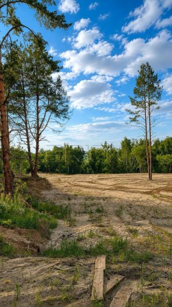 БЕЗ КОМІСІЇ Продаж Ходосівка  Земельна ділянка під забудову | Ідеально для інвестицій або для себе з - фото 1