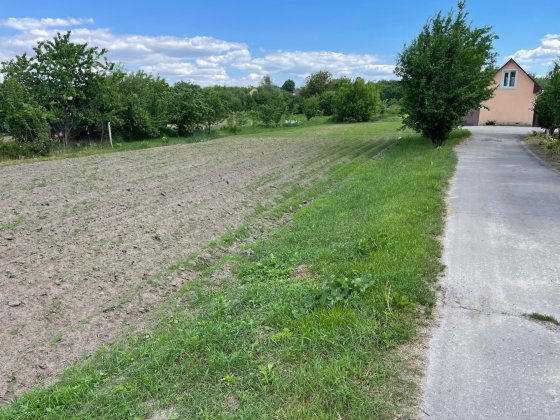 Село Ходосівка, продаж ділянки 10 соток під будівництво, вул. Садова Ходосівка