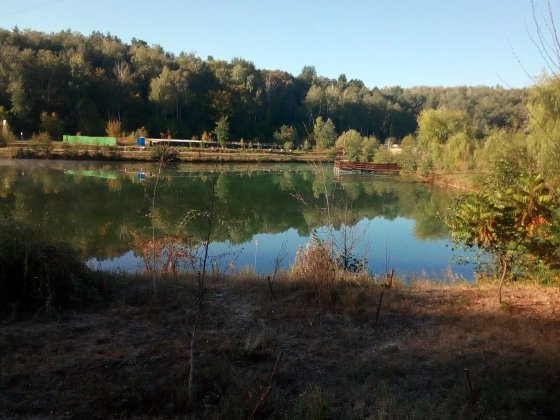 Ділянка 15 сот Ходосіївка Ходосівка