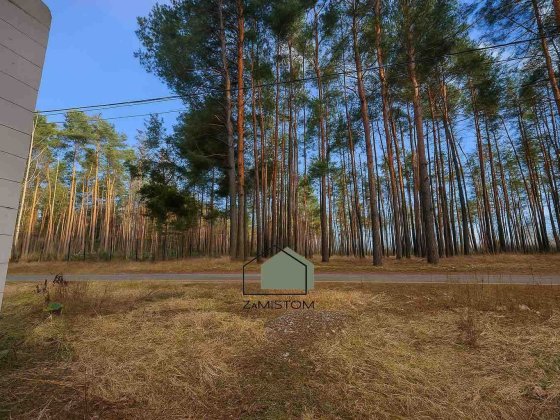 ‼️‼️‼️ №518. Ділянка в Озерянах, сосновий ліс. Світло заведена Гнедин