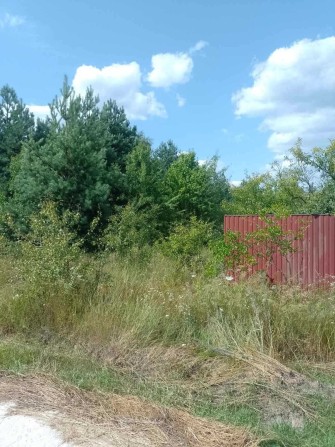 Хозяин Продает 20 сот в с.Гореничи с соснами-фасад-53м на 38м - фото 1