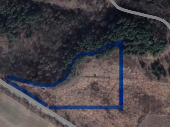Гореничі 1,7 Га біля лісу під будівництво 2000$\сотка Гореничи
