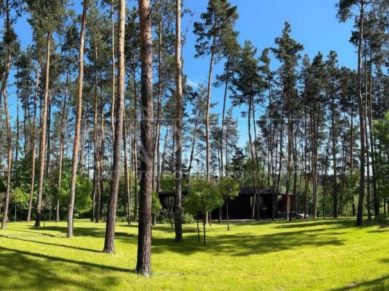 Продаж земельної ділянки у мальовничому місці з соснами в Ходосівці загальною площею 150 соток з буд Ходосівка