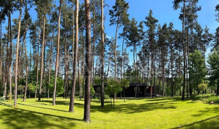 Продаж земельної ділянки у мальовничому місці з соснами в Ходосівці загальною площею 150 соток з буд - фото 1