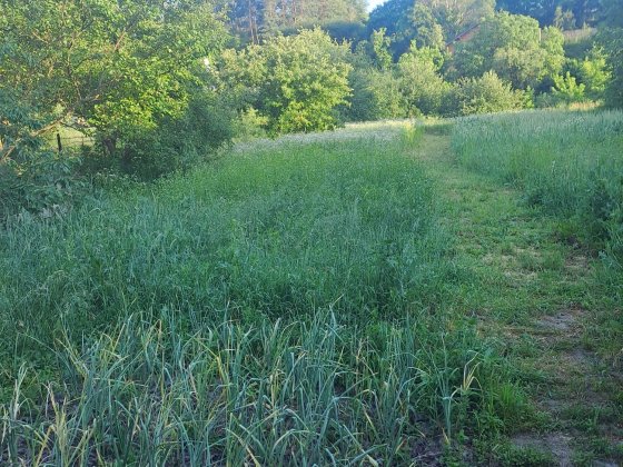 Ділянка Ходосіївка по вулиці Набережна Ходосівка