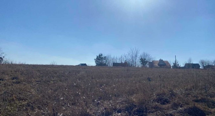 Продажа земельного участка ОСГ пай 1.24 га, с. Ходосовка, Киевская область. - фото 1