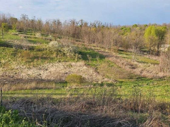 Без комісії. Лісники 35 сот. Видова ділянка на Лісниківських схилах. Варто побачити вживу! Лесники