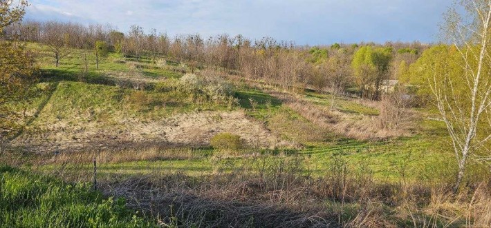Без комісії. Лісники 35 сот. Видова ділянка на Лісниківських схилах. Варто побачити вживу! - фото 1