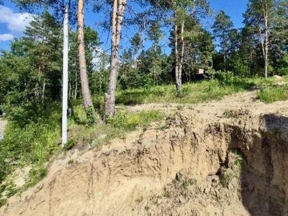 Продаж земельної ділянки 10 соток у Гореничах , Ліс на ділянці, Газ , 20 кВт ,Закрита вулиця Гореничи