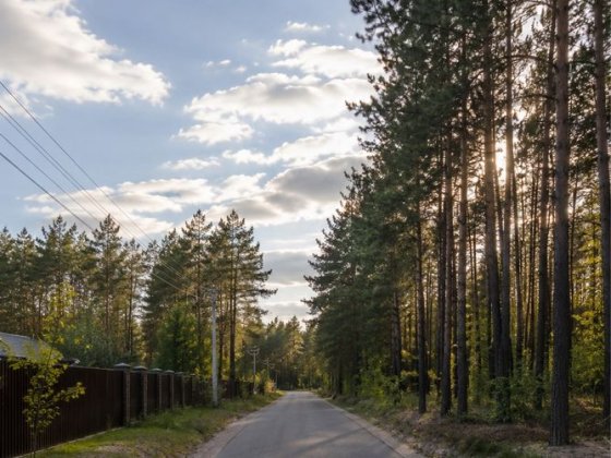 Власник ‼️ Гореничі Земельна Ділянка будівництво з прямим  виходом до лісу 40сот  всі комунікаціі су Гореничі