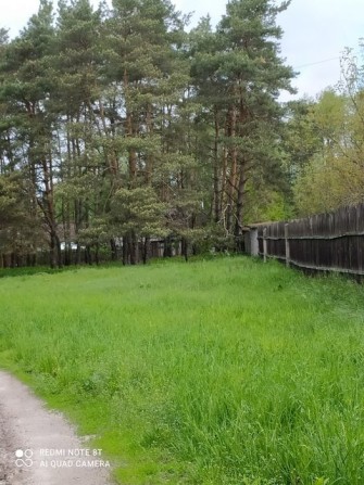 Гореничі. ЕКСКЛЮЗИВНА.вул.Травнева 40 соток з лісом. 200.000 - фото 1
