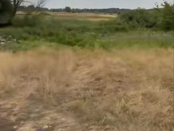 Продаж під забудову. 5 га. рн Золоче та Вишенки. Без комісії Вишенки