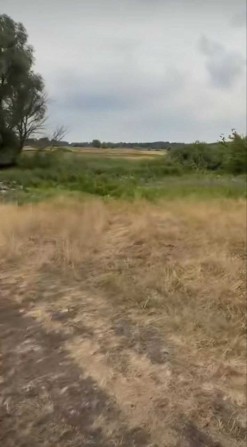 Продаж під забудову. 5 га. рн Золоче та Вишенки. Без комісії - фото 1