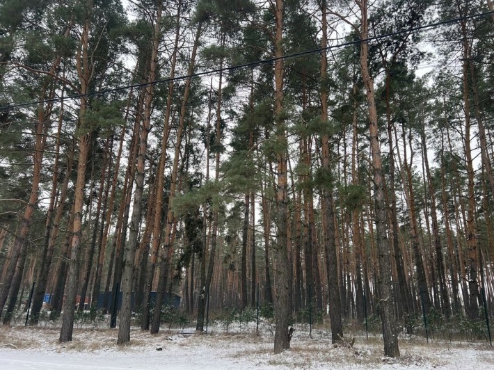 5 соток зі світлом Озеряни Ліс Гнідин Гнедин - фото 1