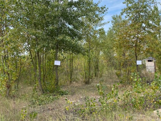 Земельна ділянка 0,12 га Осокорки ГО СТ "Ельвіра" Гнідин