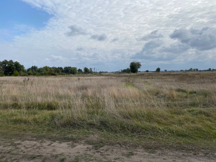 2 га (20 ділянок по 10 сот) під забудову, Гнідин. Бриспільський, Київська обл - фото 1