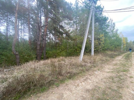 Без% Гореничі. вул. Лісова. 23 сот. Лісова ділянка. Гореничі