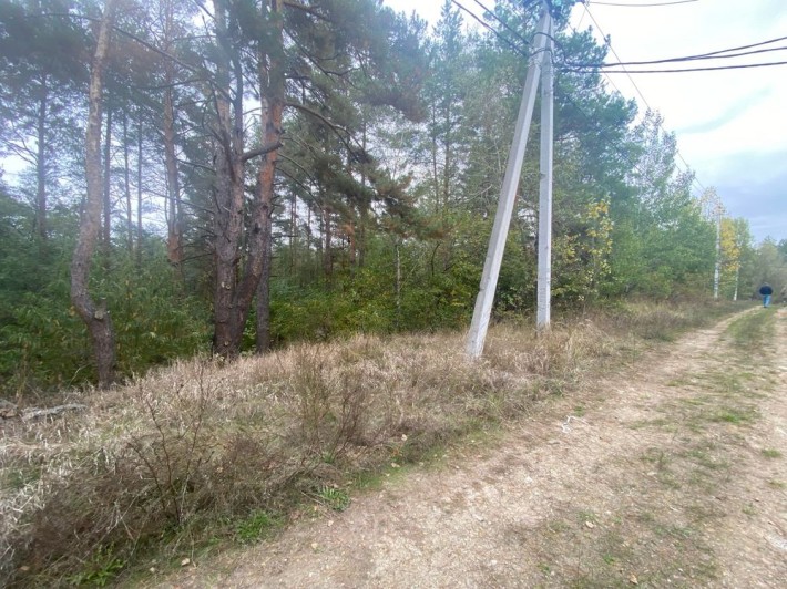 Без% Гореничі. вул. Лісова. 23 сот. Лісова ділянка. - фото 1