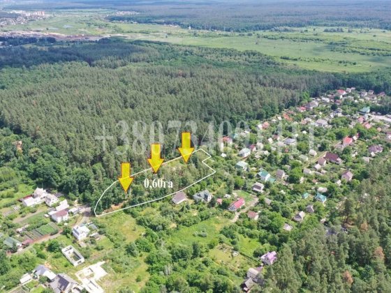 СТОЯНКА!Продаж Єксклюзивної  Ділянки 60 соток  в СТ"ІРПІНЬ"з прямим виходом до Лісу! Стоянка
