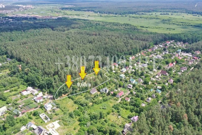 СТОЯНКА!Продаж Єксклюзивної  Ділянки 60 соток  в СТ"ІРПІНЬ"з прямим виходом до Лісу! - фото 1