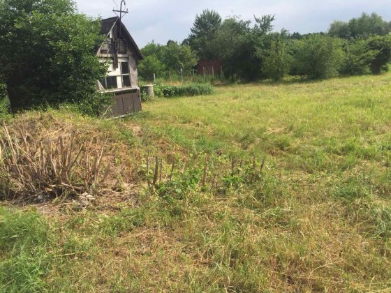 Без %, земля/участок 10 соток,с. Підгірці Підгірці