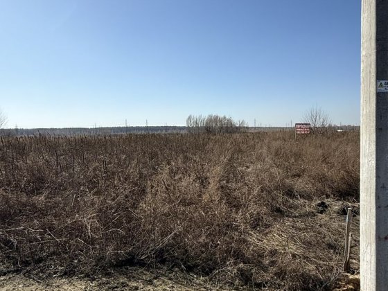 Нові Петрівці, земельна ділянка під забудову, 2000у.е за сот. Новые Петровцы