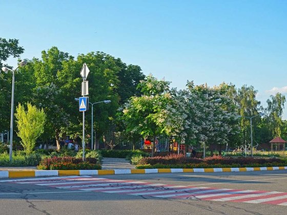 Підгірці. Новообухівська траса, продаж ділянки  35 соток. Подгорцы