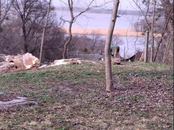 Продам видову земельну ділянку Ржищів