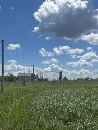 Ділянка 10 соток під забудову, Ржищів, ліс, електрика - фото 1