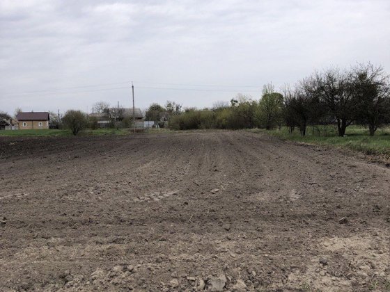 ВИГІДНО 22 сотки Бородянка під забудову, хороша локація. Бородянка
