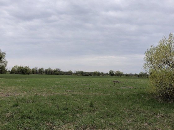 51 сотка Бородянка під забудову, РІДКІСНА ПРОПОЗИЦІЯ, світло поруч Бородянка