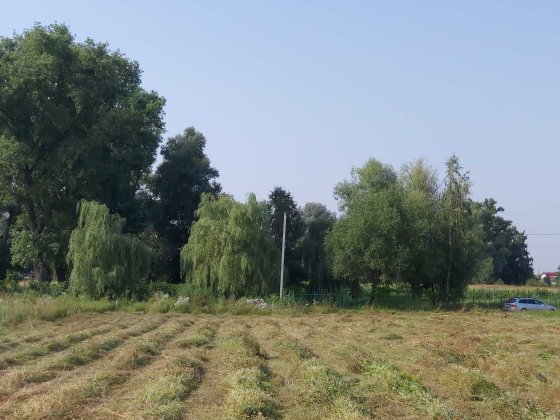 Земельна ділянка с. Велика Димерка, Броварський район Велика Димерка