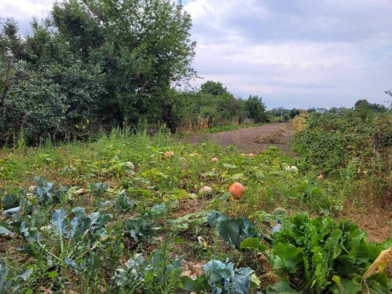 Продам ділянку в центрі Димера, вул. Сонячна (Урицького) Дымер