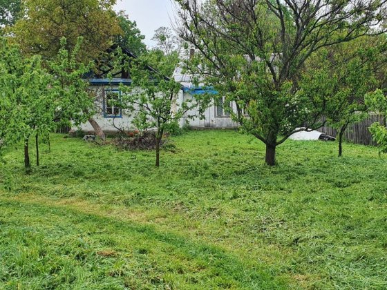 Бабинці-продам ділянку  15 сот з будівлями! Бабинці