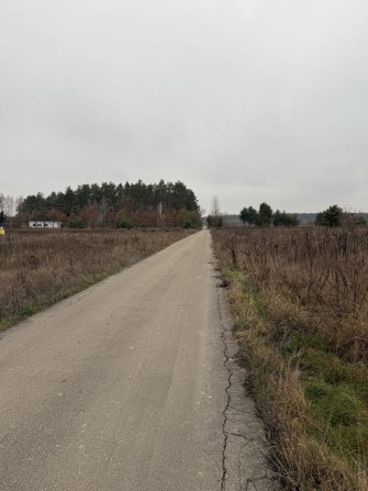 Земельна ділянка 4 га с Березівка. - фото 1