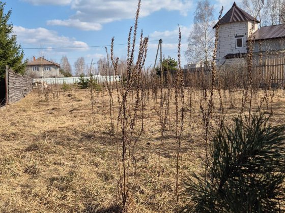 Ділянка правильної форми під забудову біля лісу в Бучанському районі, Бабинці. Ціна договірна! Бабинцы
