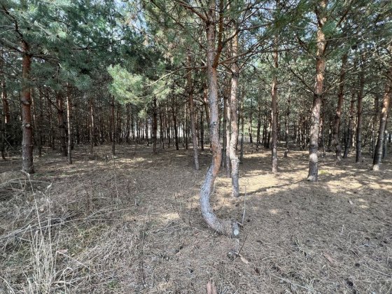 Ділянка 12,5 соток у Бобриці! Бобриця
