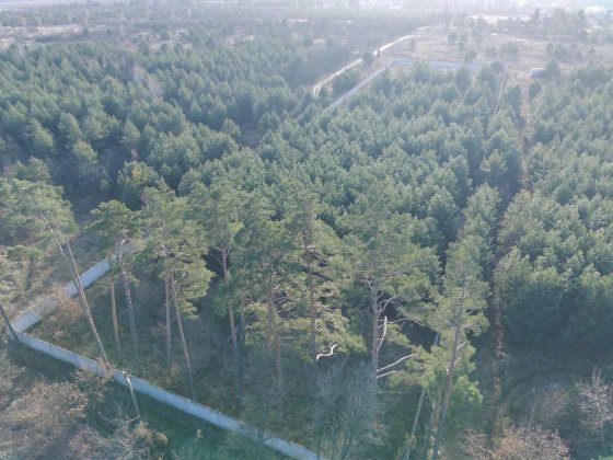 Продам ділянку в Бобриці Бобрица