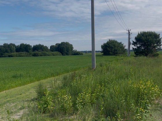 Продам гарну ділянку 10 соток під житлову забудову,низька ціна,до Броварів 15 хв,без % Богдановка