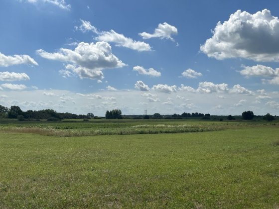 Продам земельну ділянку в с. Богданівка, Броварський р-н Богданівка