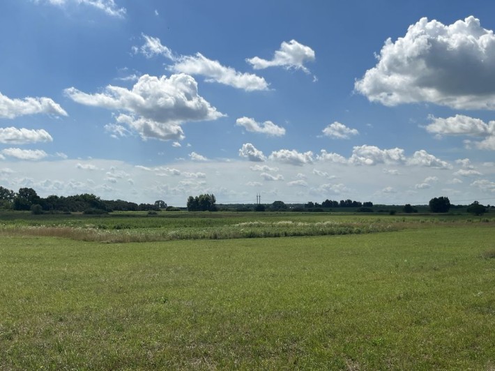 Продам земельну ділянку в с. Богданівка, Броварський р-н - фото 1