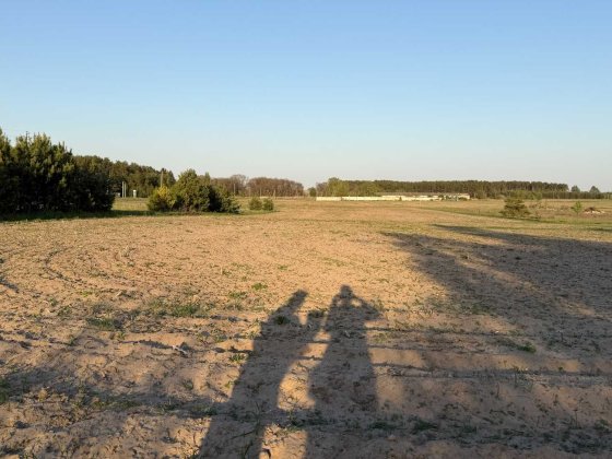 Продаж земельної ділянки 50 соток ОСГ Богданівка