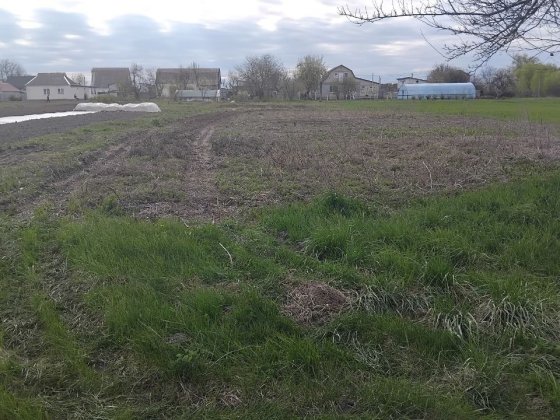 Продаж земельної ділянки під забудову в селі Богданівка Богданівка