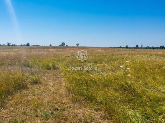 Ділянка, 20 соток. Садове кільце, 1, село Блиставиця, Бучанський район Блиставиця
